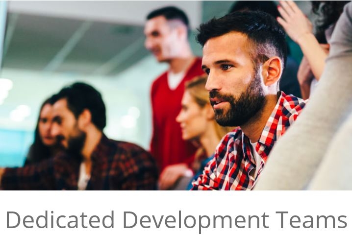 Dedicated Development Teams