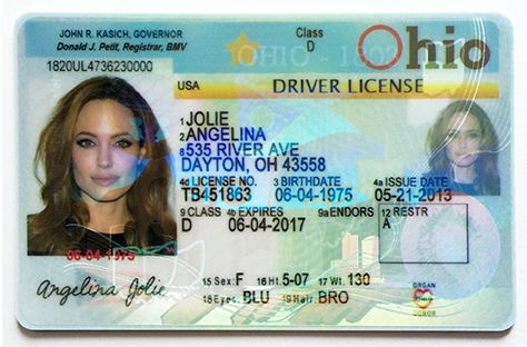 Novelty License